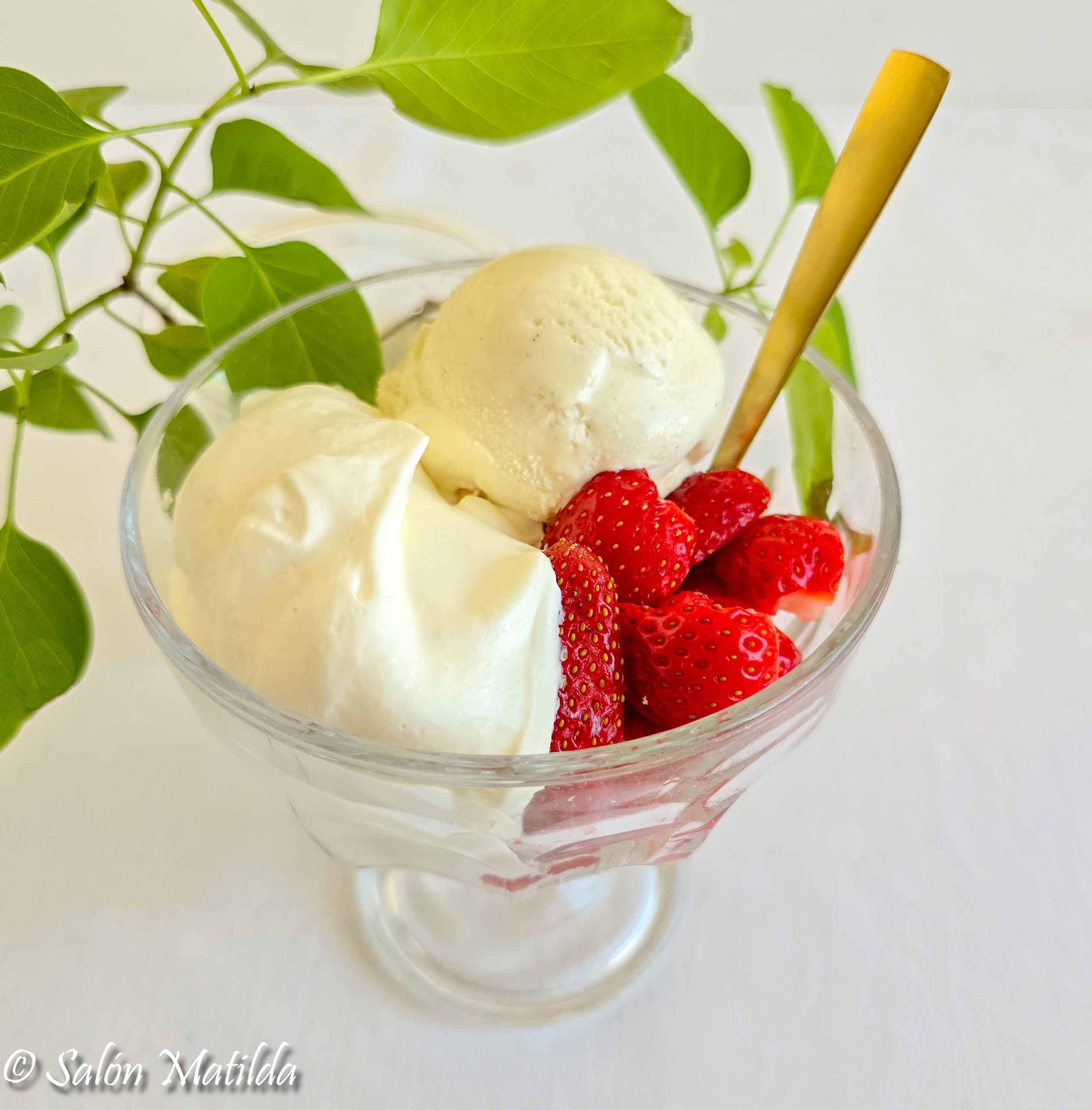 Erdbeeren Romanoff